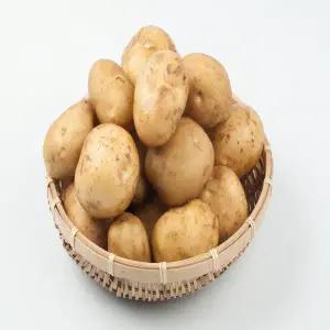 [품질보증] 국내산 포슬포슬한 햇 수미 감자 5kg (특상)