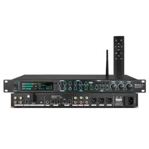 리버브 에코챔버 에코 이펙터 참바 공연 음향 하울링 행사