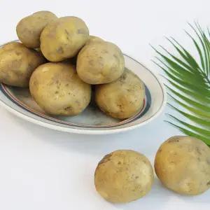 전북 김제 2025년 노지 햇 수미감자 특 5kg