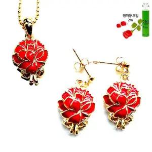 장미향기 카네이션 세트 리본2