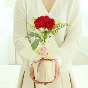 한송이 카네이션 선물 레드