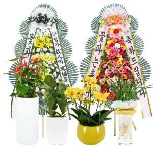 축하 근조 화환 화분 결혼식 장례식 예식 당일 3시간 꽃배달 오픈마켓 33만건 주문