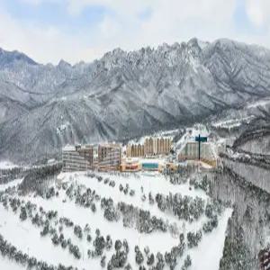 [강원 호텔] 소노캄 델피노 AB동 (속초,고성)