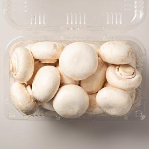 [대한민국농수산] GAP 인증 특품 양송이 (화이트, 브라운)