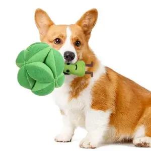 강아지 지능 후각 발달 간식 놀이 노즈워크 선물 WE35F85