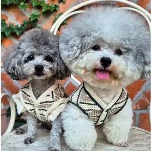 강아지 스트라이프 프릴 니트 조끼 1P 티셔츠 겨울 WFFVCAV