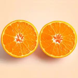 당도선별 제주 감귤 노지 귤 타이벡 밀감 3KG 5KG