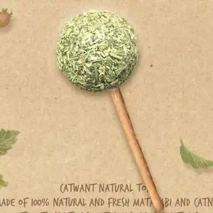 고양이 장난감 캣닢 사탕 마따따비 캣 허브 놀이 토이 WFIBNQA