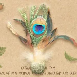 고양이 장난감 공작깃털 캣닢 볼 마따따비 놀이 토이 고양이캣잎 WFIY0WF