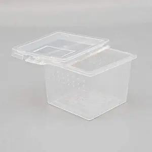 [알티피아]bns 파충류 도마뱀 사육장 곤충 거북이 달팽이 밀웜 집 C2