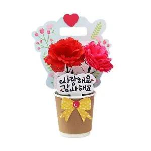 어버이날 편지 카네이션화분4인용