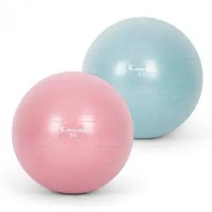 운동용 스트레칭 마사지볼 다이어트 체형교정 균형잡기 운동기구