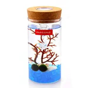 마리모 키우기 LED 유리병 수경식물키우기 테라리움