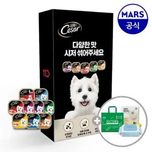 [11번가 단독팩] 시저 주식캔 26개 골라담기+아이엠즈쇼핑백+배변패드+베베숲물티슈