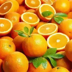 [농협6번]퓨어스펙 썬키스트 블랙라벨오렌지/ 네이블고당도 오렌지 17kg 과수선택