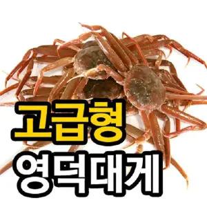 [st푸른농원][경북영덕]영덕대게 고급형 3마리(수율70%/마리당300~400g)