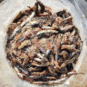 기장 멸치젓갈 봄 가을 김장 멸치 액젓 15kg 30kg 대변항