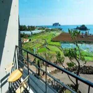 [제주] 서귀포 더비비스제주 펜션(제주펜션/서귀포펜션)