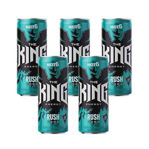 무료배송 롯데 핫식스더킹 러쉬 355ml 24캔 소비기한은 26년 4월