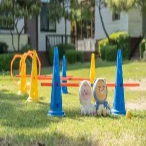 [경기] 포천 럭스제이 애견 펜션(경기펜션/포천펜션)