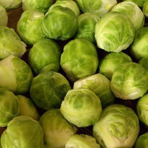 방울양배추 500g 1팩 국내산 미니 양배추