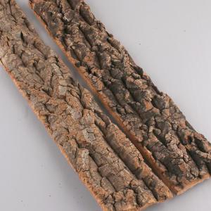 다양한 사이즈 도마뱀 굴피껍질 자연 나무껍질 코르크보드 백스크린 정글 말피리움  도마뱀 백업 은신처