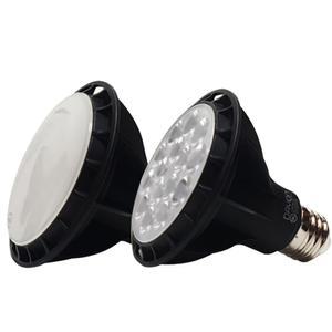 데이온 par30 파30 LED 램프 전구 15W