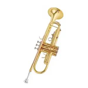 야마하 트럼펫 취미용 악기 b플랫 은도금 입문 YAMAHA