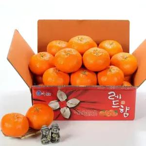 고당도 제주 레드향 10kg 중소과 중과 대과 특대과 노지 가정용 국내산