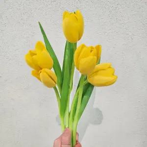 [꽃같은하루] 분홍 노란 튤립 생화 택배 꽃다발 꽃배달싼곳