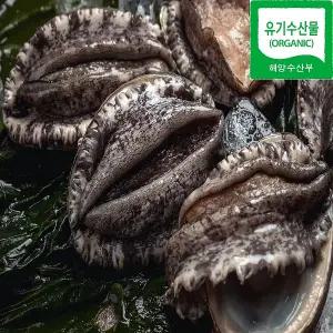 (ORGANIC)친환경인증 유기수산 전복 특대 8-9미