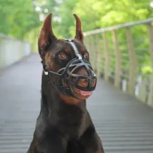 강아지 소형견 대형견 입질방지 입마개 사이즈별 반려견 짖음 물기 차단 주둥이 커버