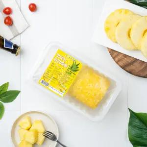 푸드팩토리 맛있는 파인애플 슬라이스형 500g