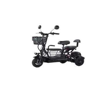 삼륜 전기 자전거 어르신 배달용 애견 삼발이 전동스쿠터 모토벨로 세발