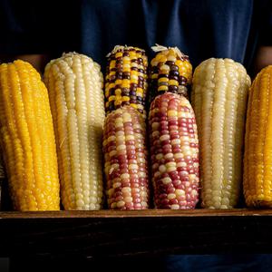 냉동 찰옥수수 찐 삶은 미백 얼룩 노랑 홍찰옥수수