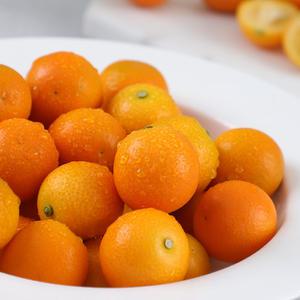 새콤달콤 제주 금귤 낑깡 중량별 크기별 선택구매