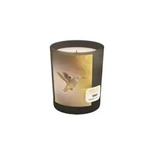 [갤러리아] [메모] 센티드 캔들 스키로스？180g (오드)