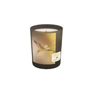 [NS홈쇼핑][메모] 센티드 캔들 립스 180g (튜베로즈)[35259913]