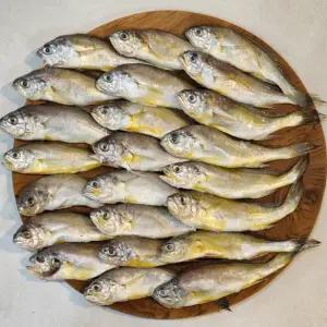 국내산 산더미 생물 참조기 3kg