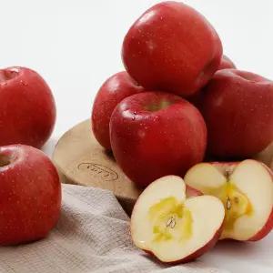 영주사과 부사 5kg(18~20과) 꿀 고당도 고랭지 햇사과