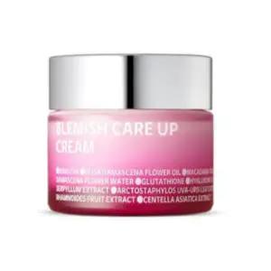 아이소이 블레미쉬 케어 업 크림 35ml 1개