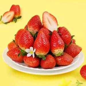 당도선별 유명산지 논산 비타베리 750g/특 GAP 인증 딸기