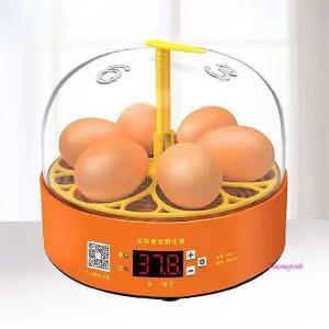 미니 KC 자동 계란 6구 부화기 달걀 회전 병아리 닭 닭병아리wxy045