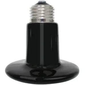 온열등 파충류 히팅조명 거북이 대형 전구 램프 도마뱀