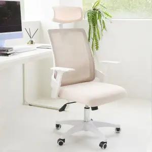 다니카 사무용 의자 컴퓨터 책상 사무실 학생 공부 에티카 01 일반형 BNA