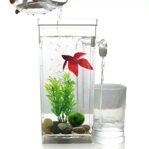 ToB 베타 키우기 자동 청소 어항 1개