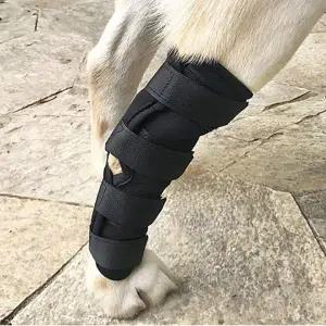 펫츠런 슬개골탈구 애견발목 강아지 다리보호대 M 강