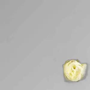 60x40cm 조화 꽃 벽걸이형 조화꽃장식 플라워월