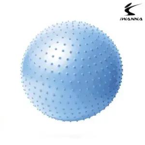 [생활] 아이워너 다이어트 마사지 짐볼 65cm 알라스칸블루