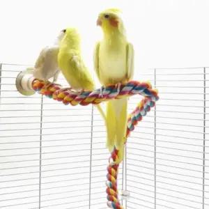 앵무새 컬러 횃대 1P 40cm 장남감 그네 휴식공간